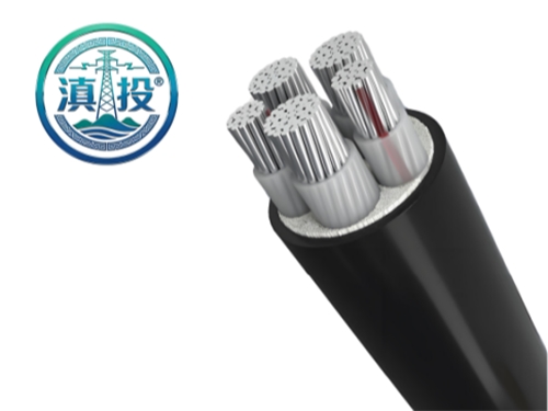 云南電纜廠+昆明電纜廠雙立足！滇投® 務(wù)實(shí)深耕本地輻射周邊